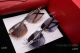 NEW Replacement Cartier Mens Sunglasses - CA0919 - Cartier Logo Lens (9)_th.jpg